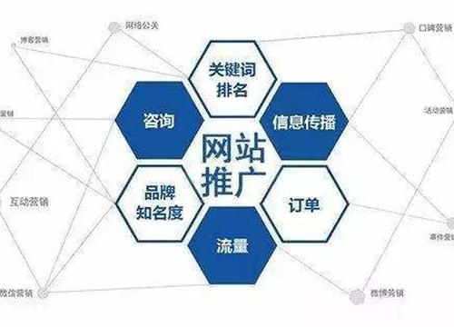 大鹏东山平南SEO优化公司精准营销